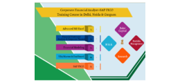 Financial Modeling Course in Delhi, 110036. Best Online Live Financial Analyst Training 