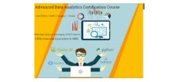 Data Analyst Course in Delhi.110015. Best Online Live Data Analyst Training in Lucknow 