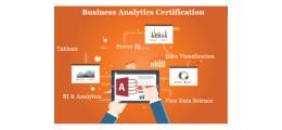 Business Analyst Training Course in Delhi, 110039. Best Online Live Business Analyst Training 